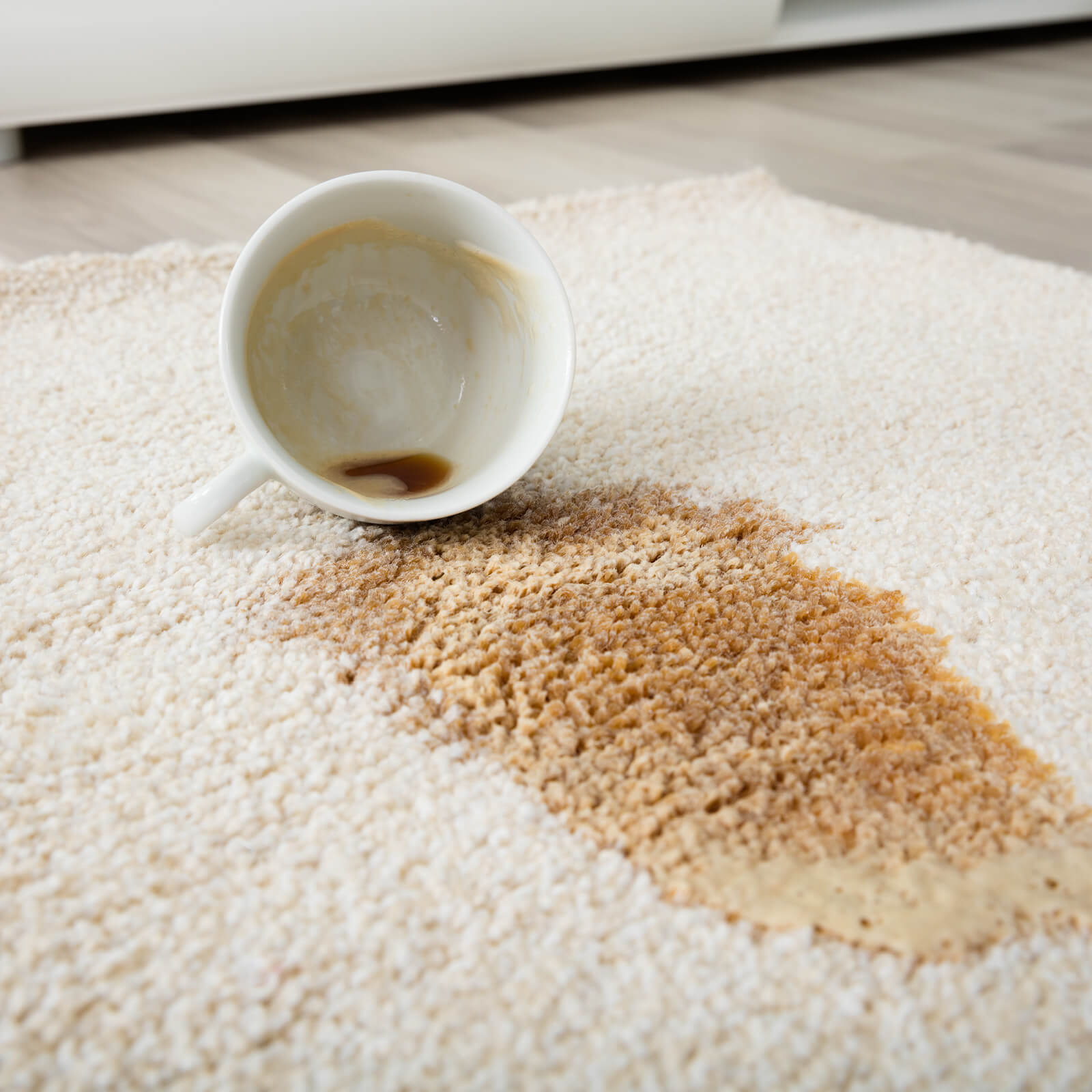 Carpet cleaning tips after spilled coffee | Bram Flooring