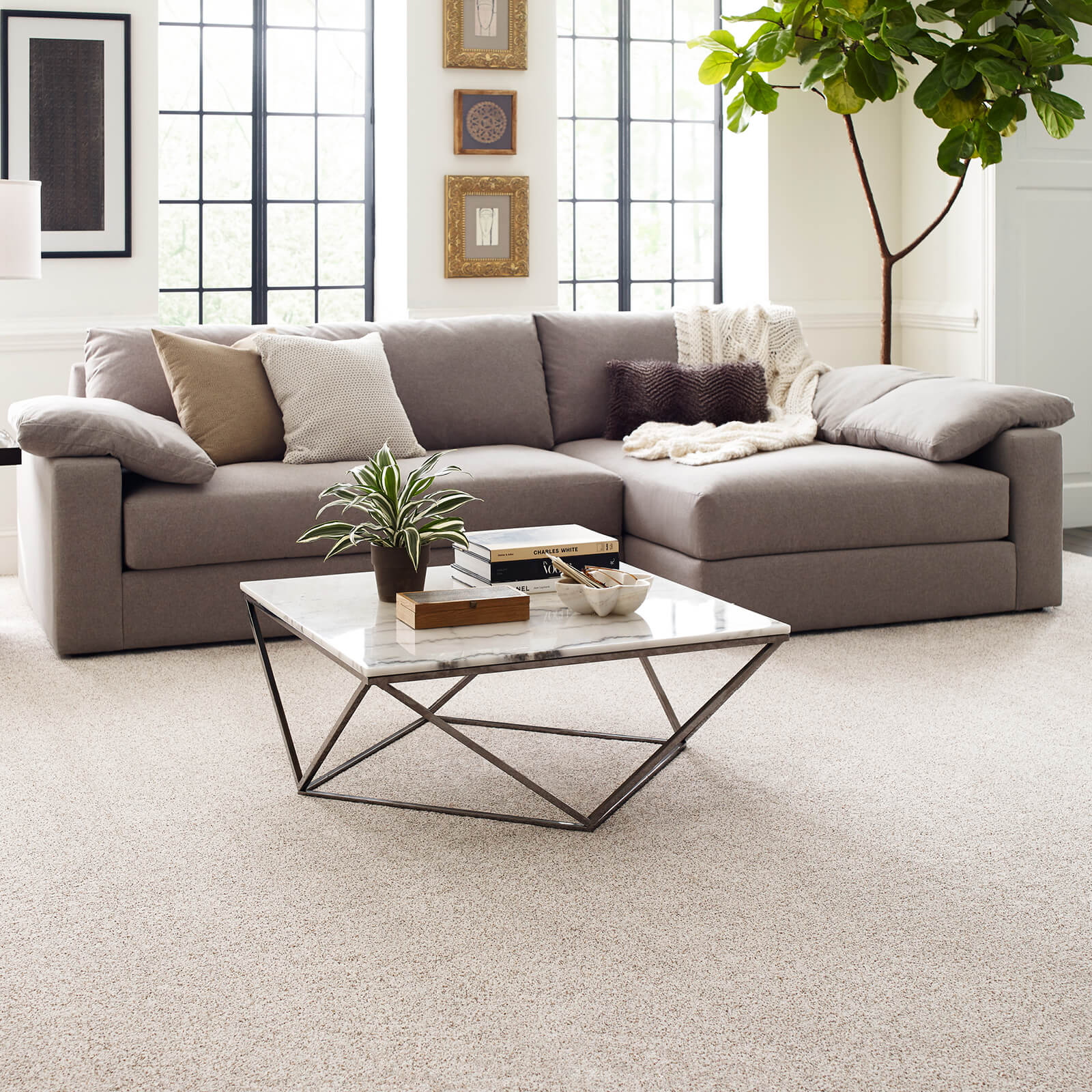 Carpet Designs | Bram Flooring